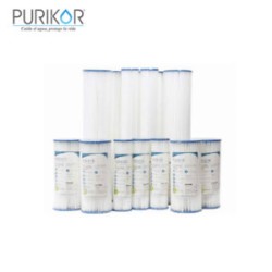 Cartucho plisado 10” x 4.5”de 20 micras