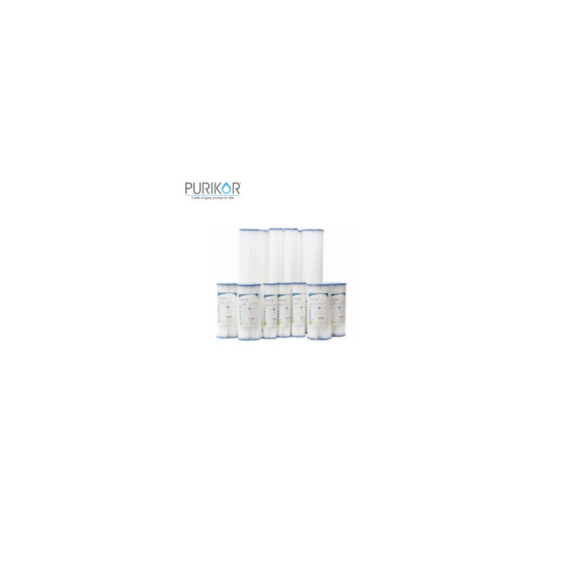 Cartucho plisado 10” x 4.5”de 20 micras